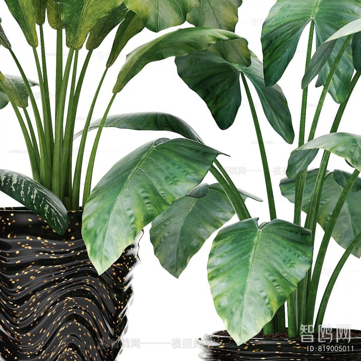 Modern Ground Green Plant Potted Plants
