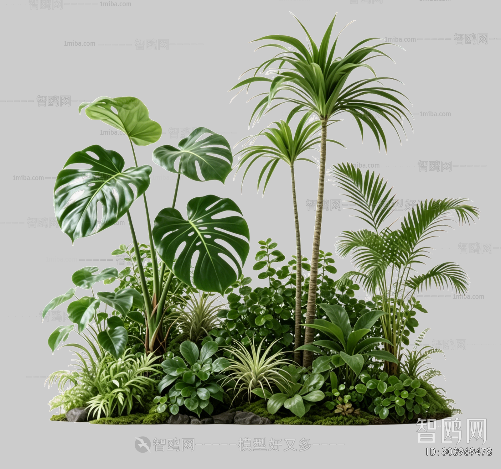 Plant Leaves