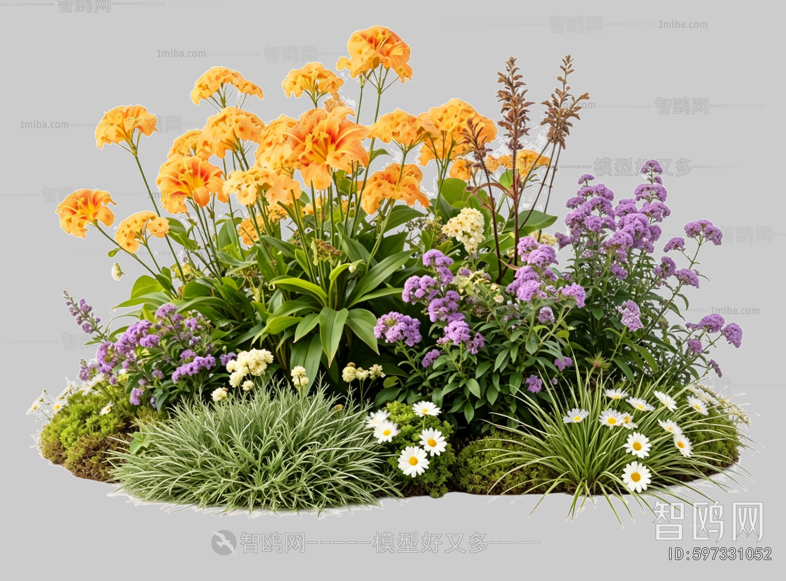 Plant Leaves