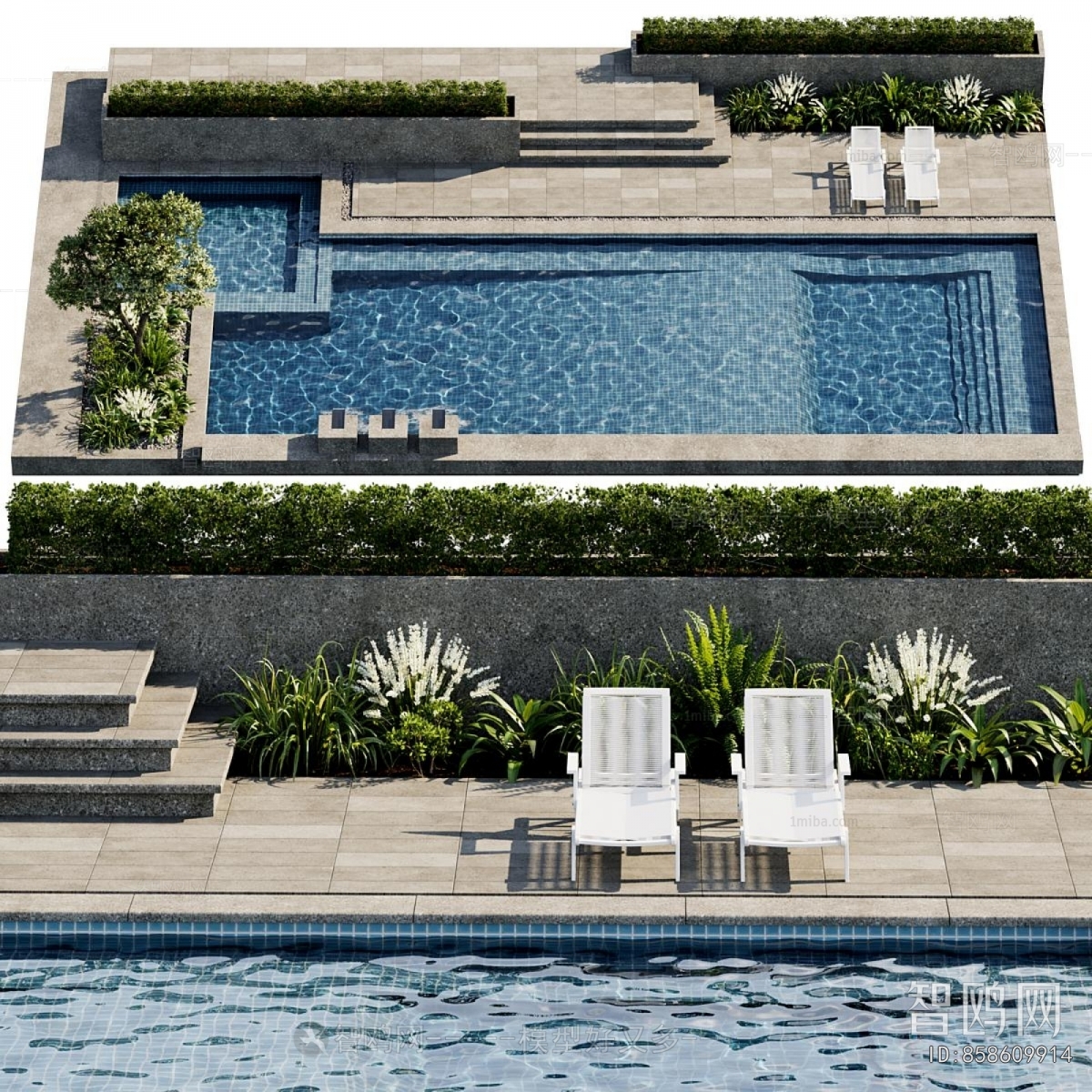 Modern Swimming Pool