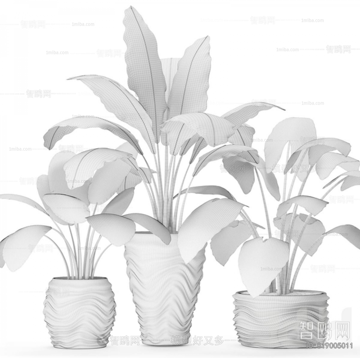 Modern Ground Green Plant Potted Plants