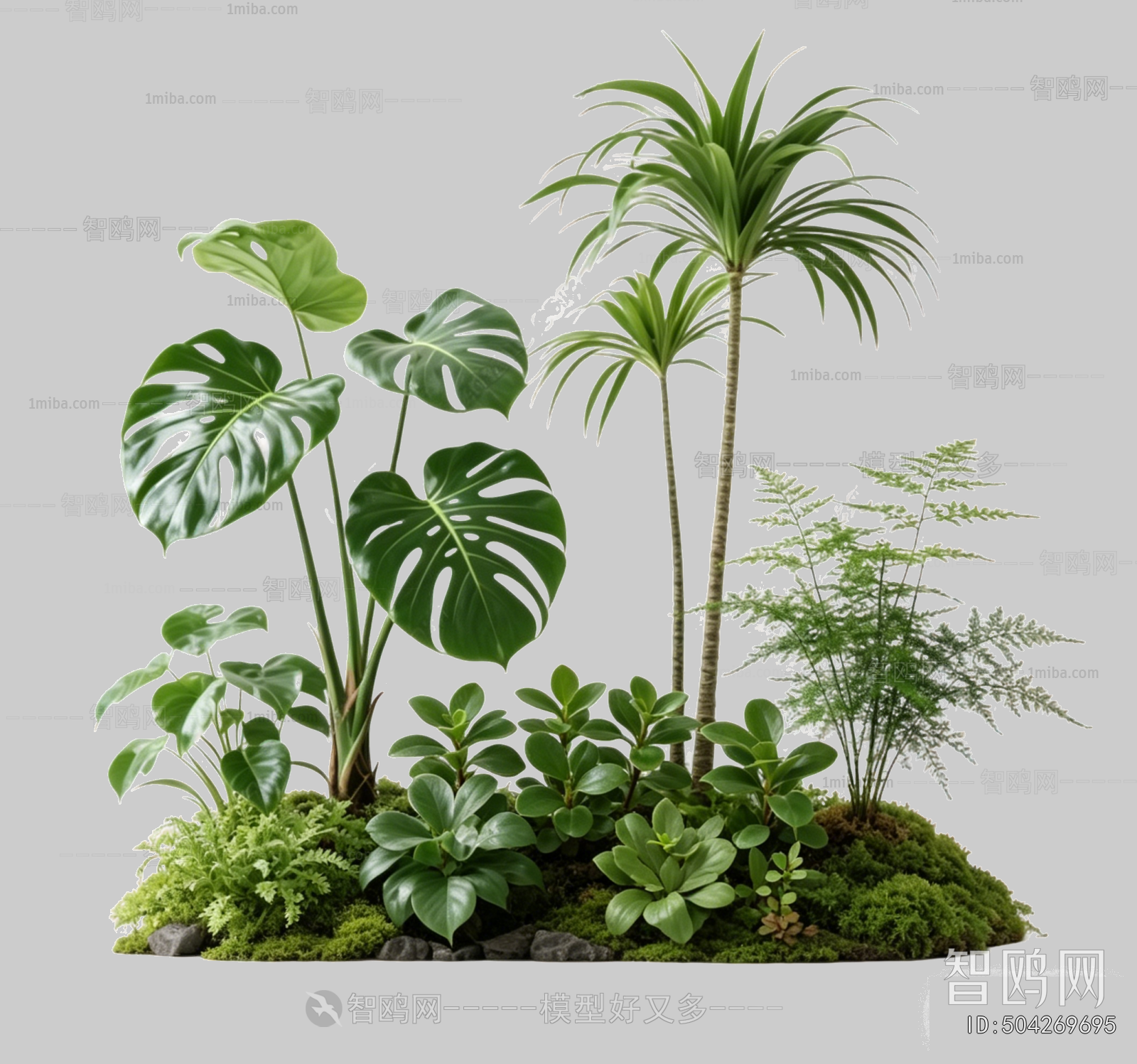Plant Leaves