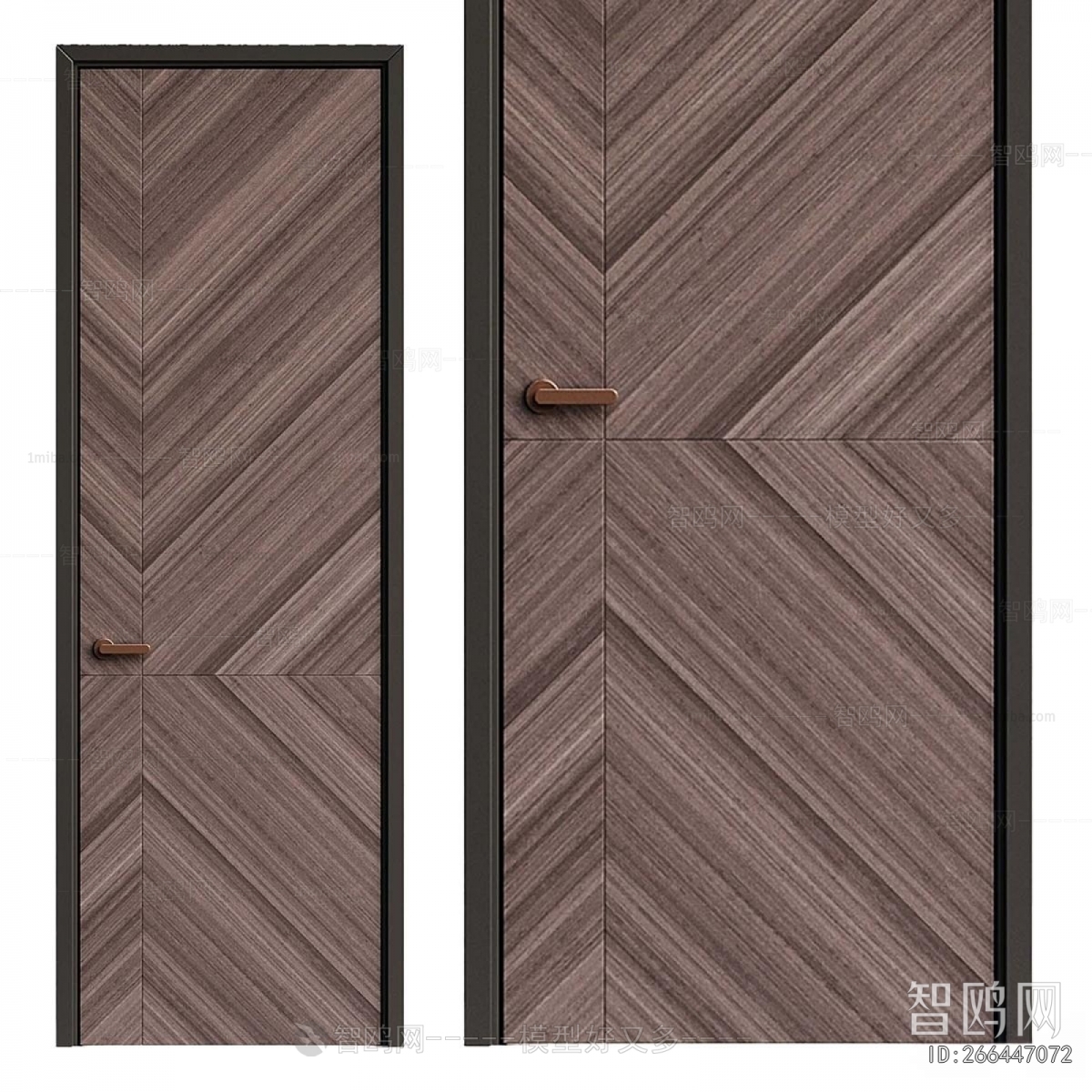 Modern Entrance Door