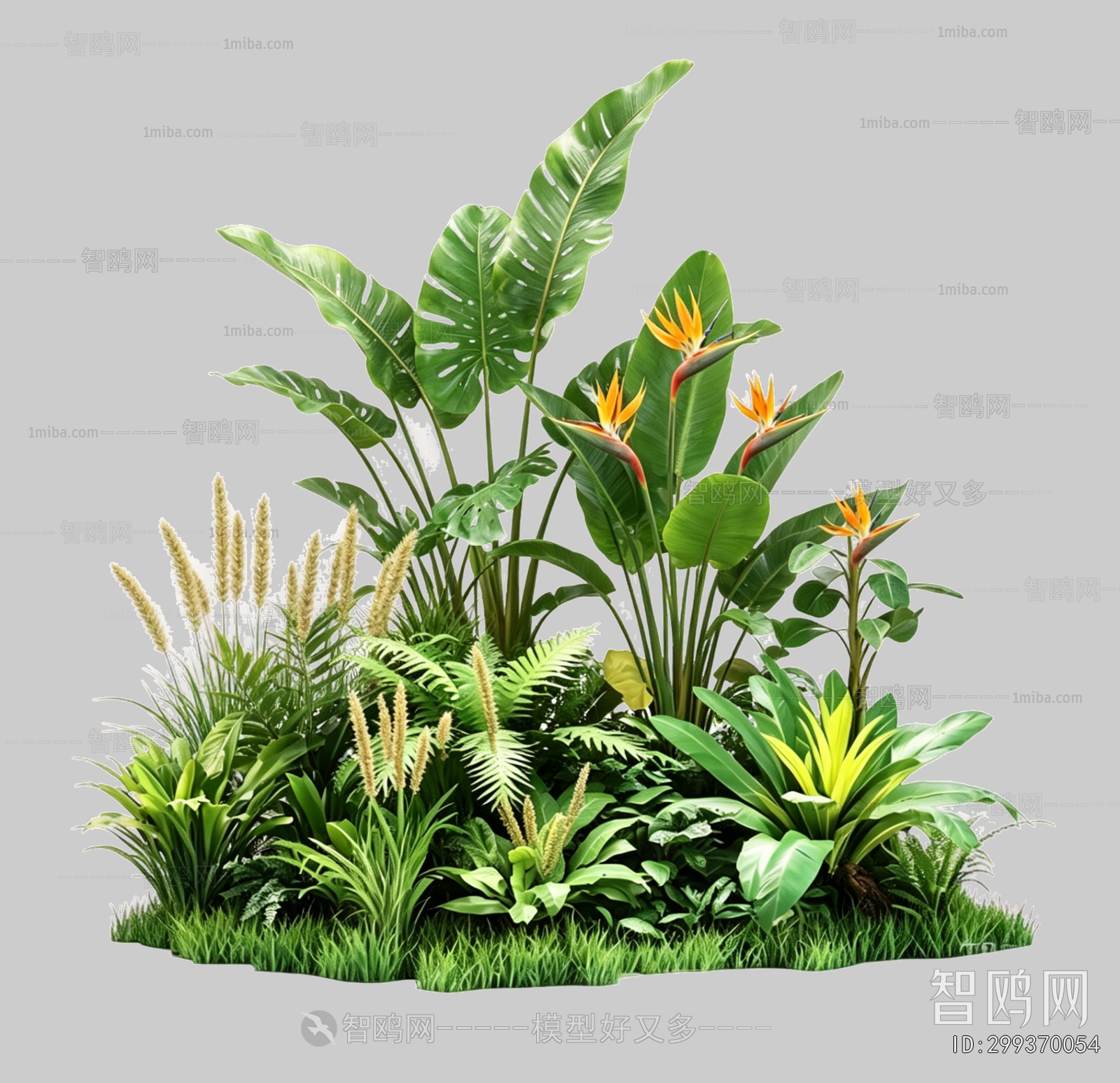 Plant Leaves