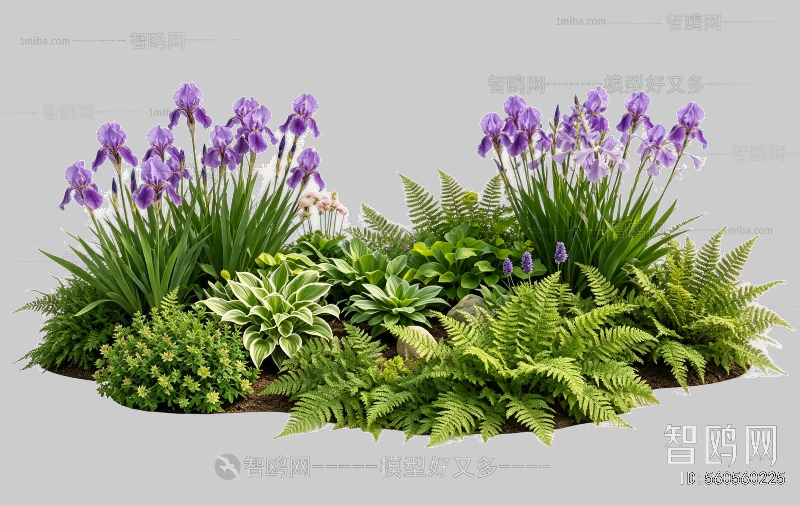 Plant Leaves