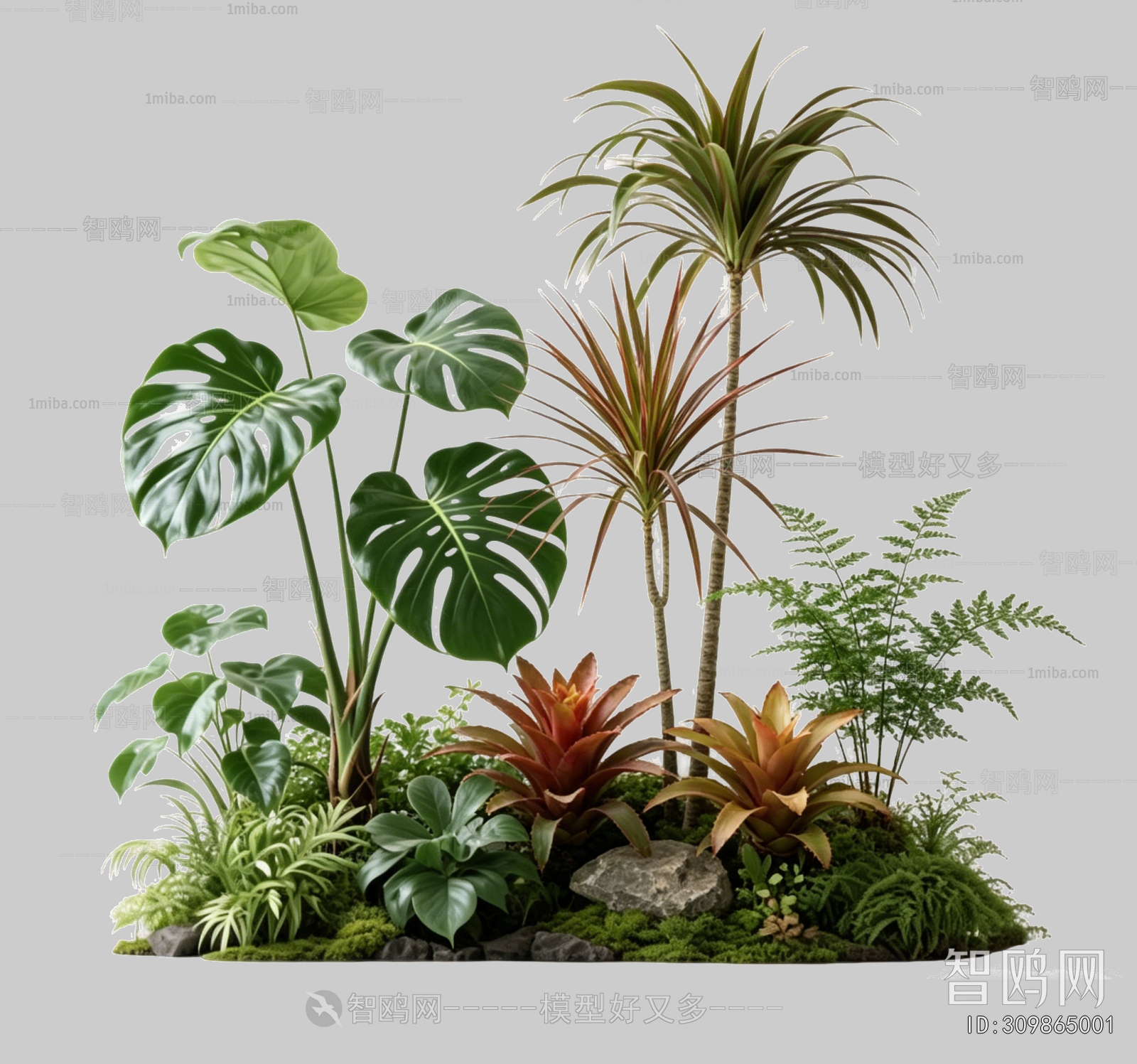 Plant Leaves