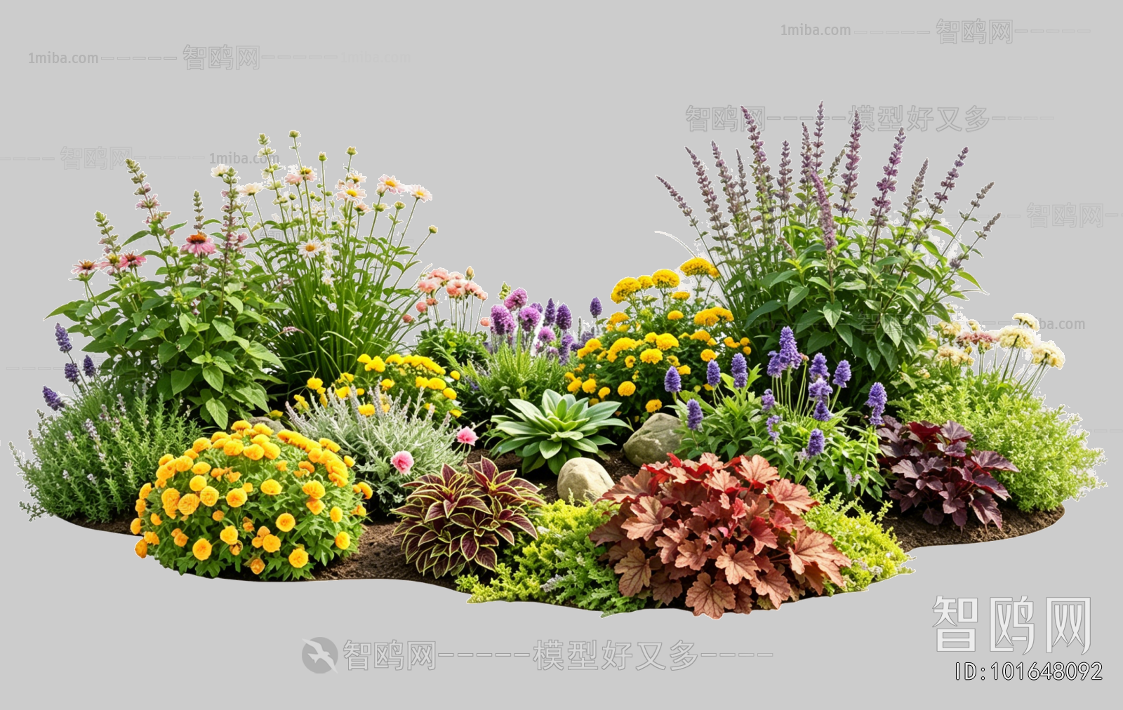 Plant Leaves