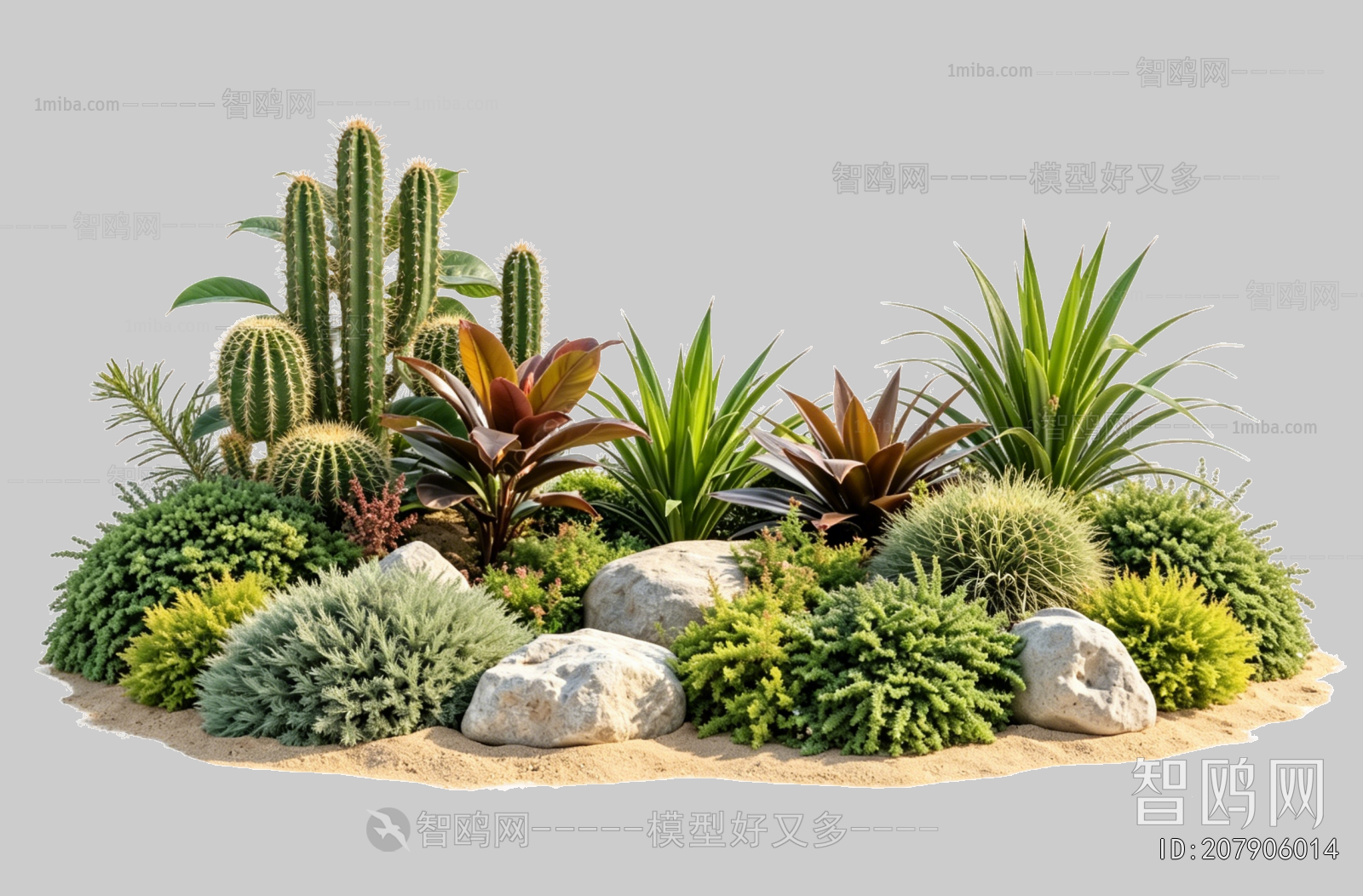 Plant Leaves