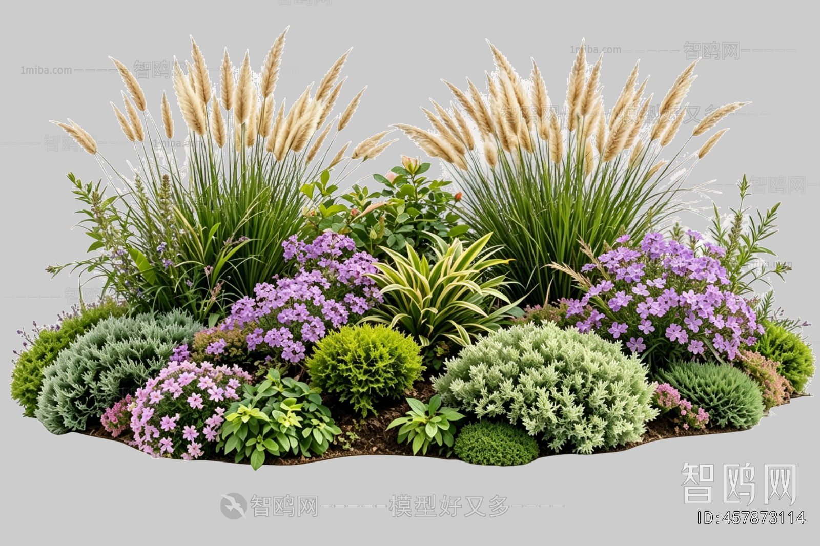 Plant Leaves