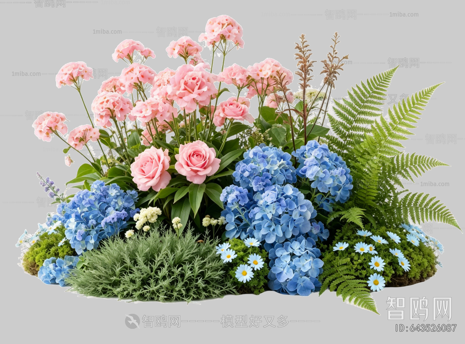 Plant Leaves