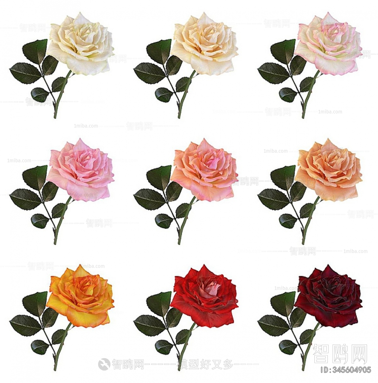 Modern Flowers