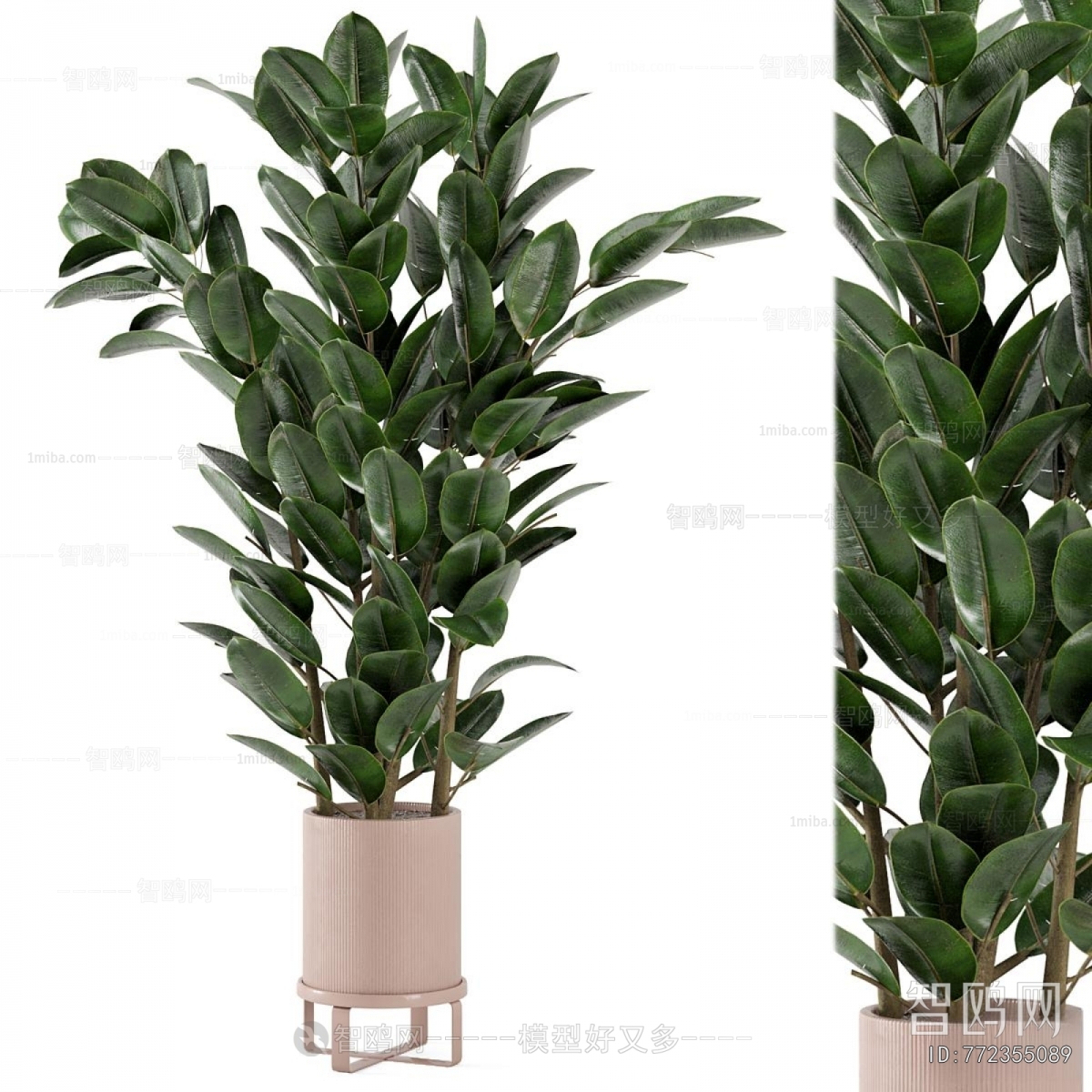 Modern Ground Green Plant Potted Plants