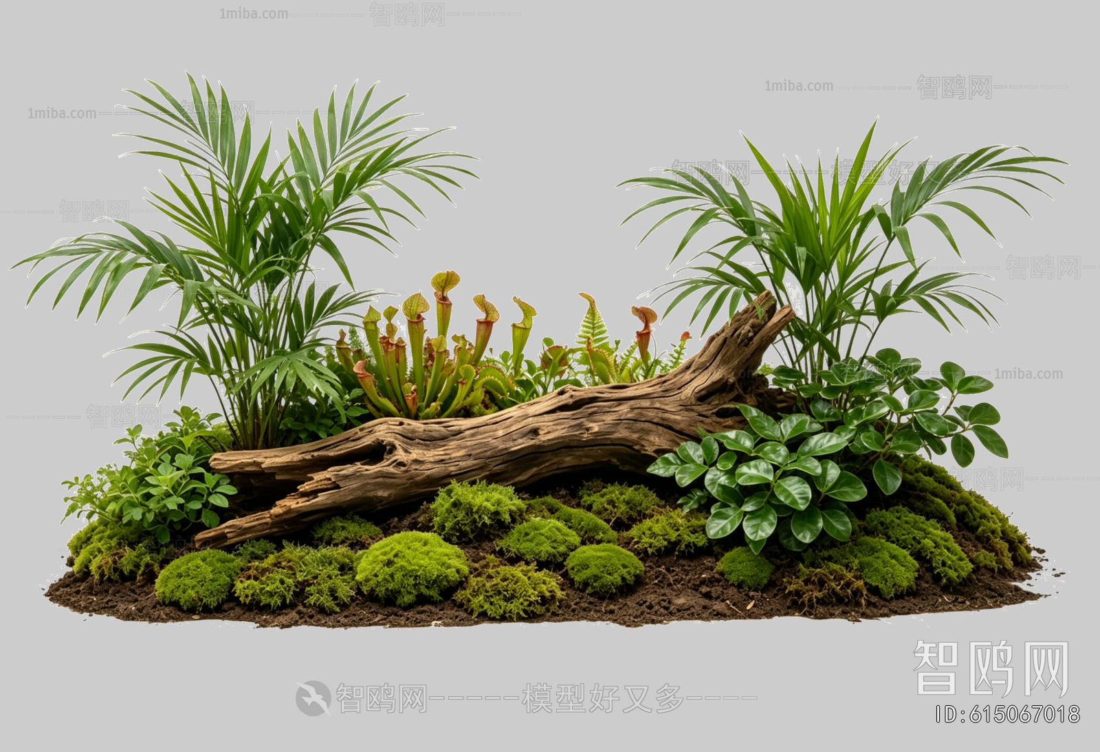 Plant Leaves
