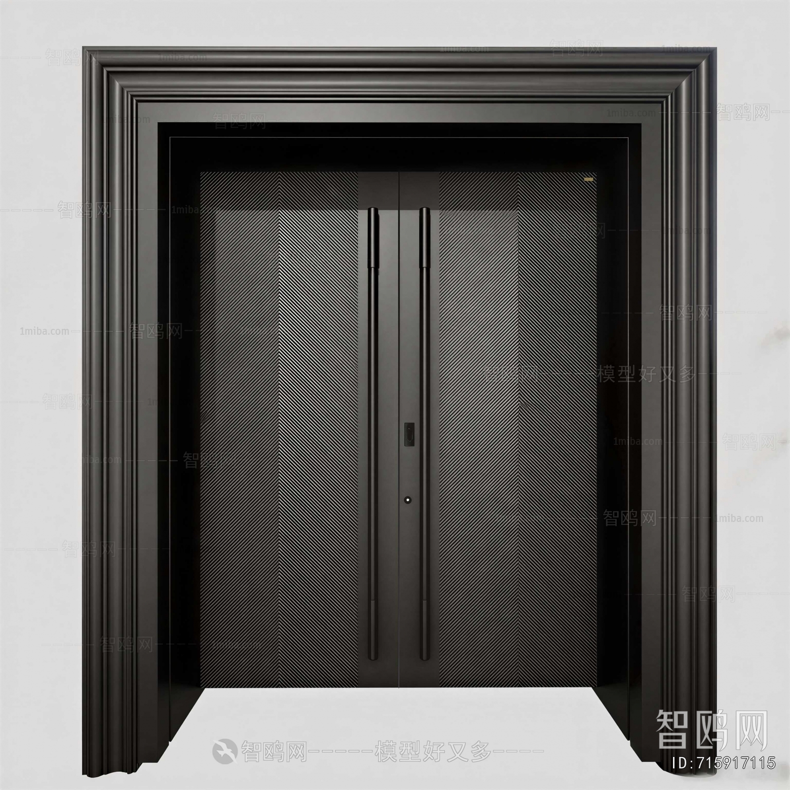 Modern Door