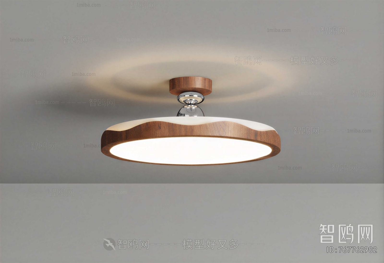 Modern Ceiling Ceiling Lamp