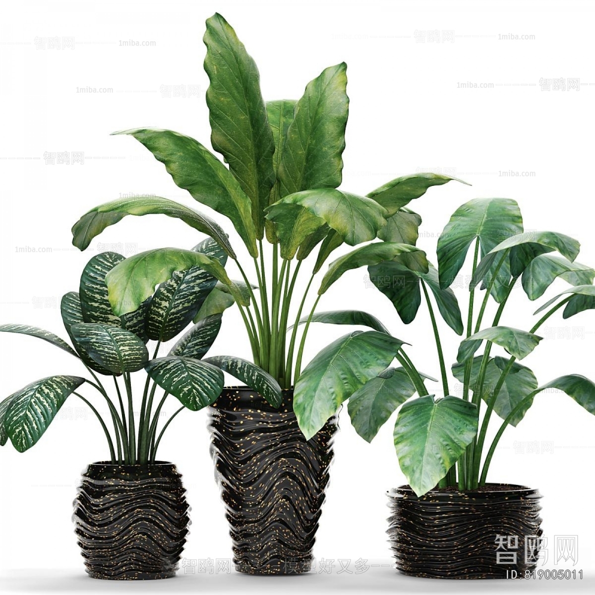 Modern Ground Green Plant Potted Plants