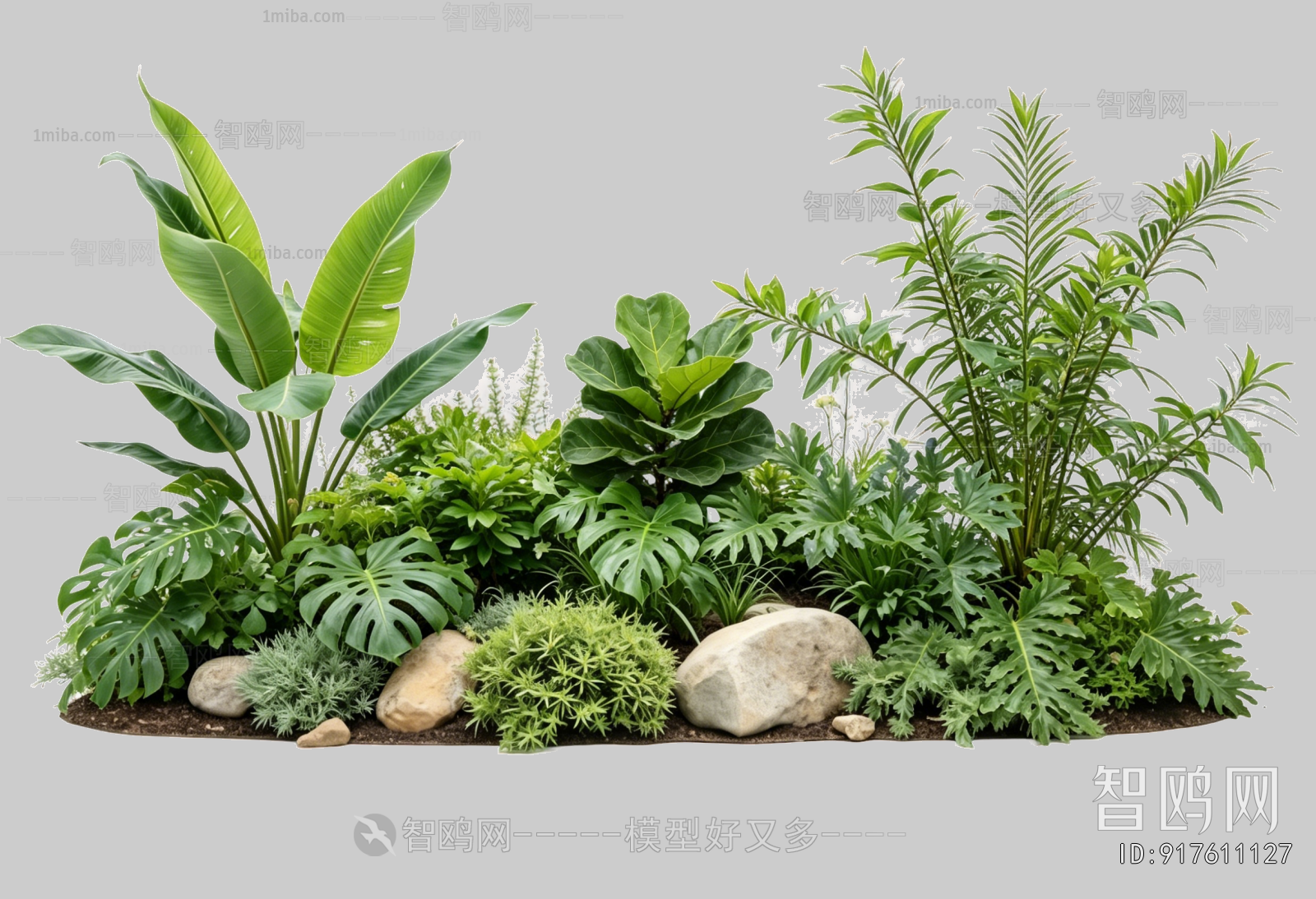 Plant Leaves