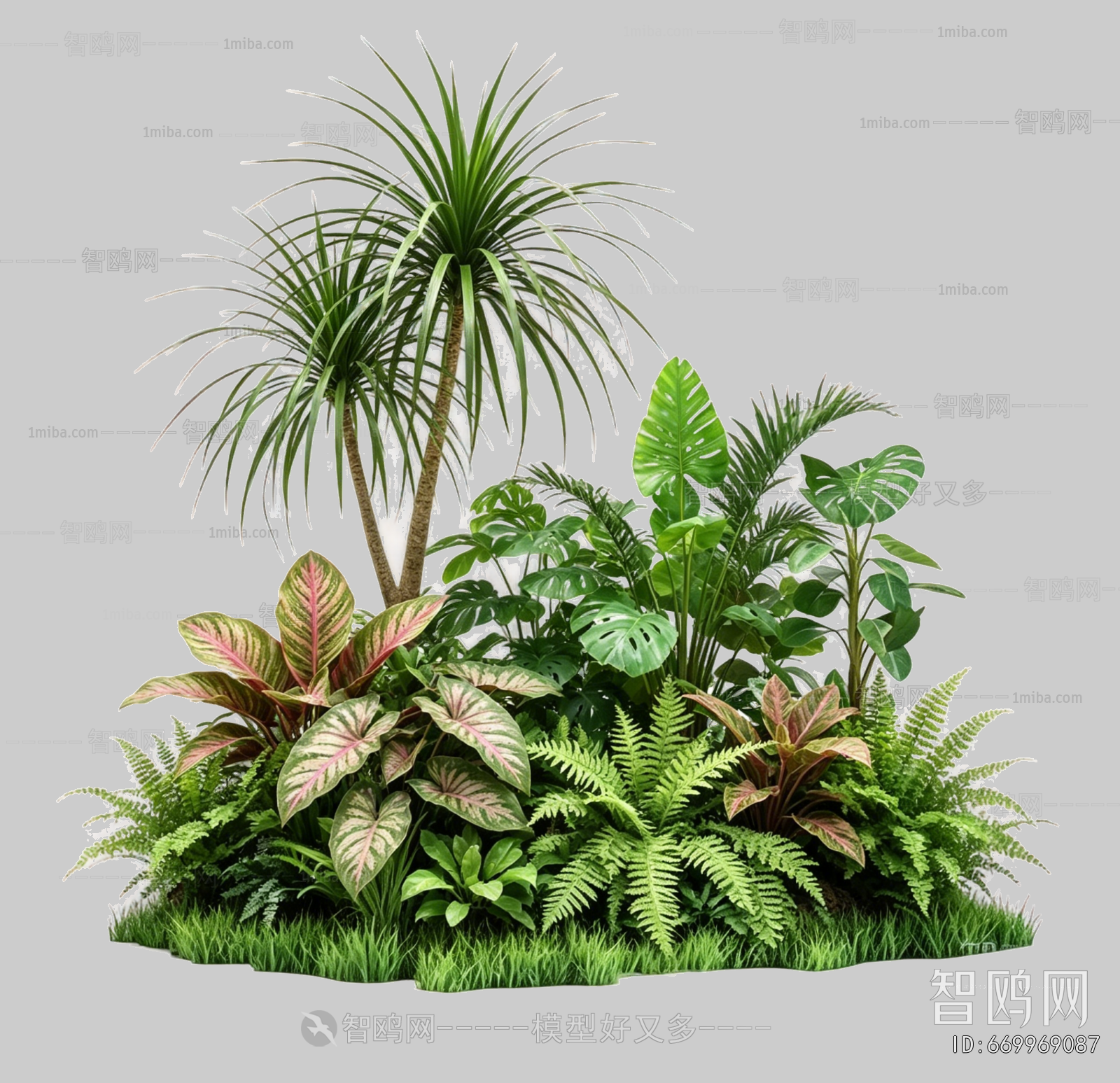 Plant Leaves