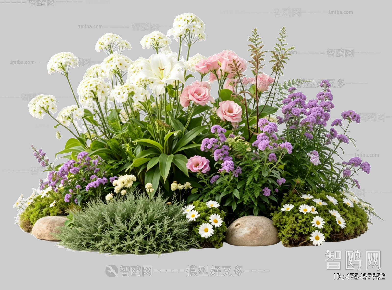 Plant Leaves