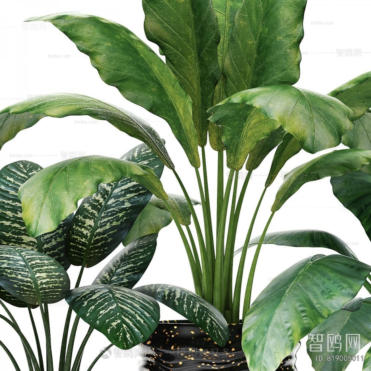 Modern Ground Green Plant Potted Plants