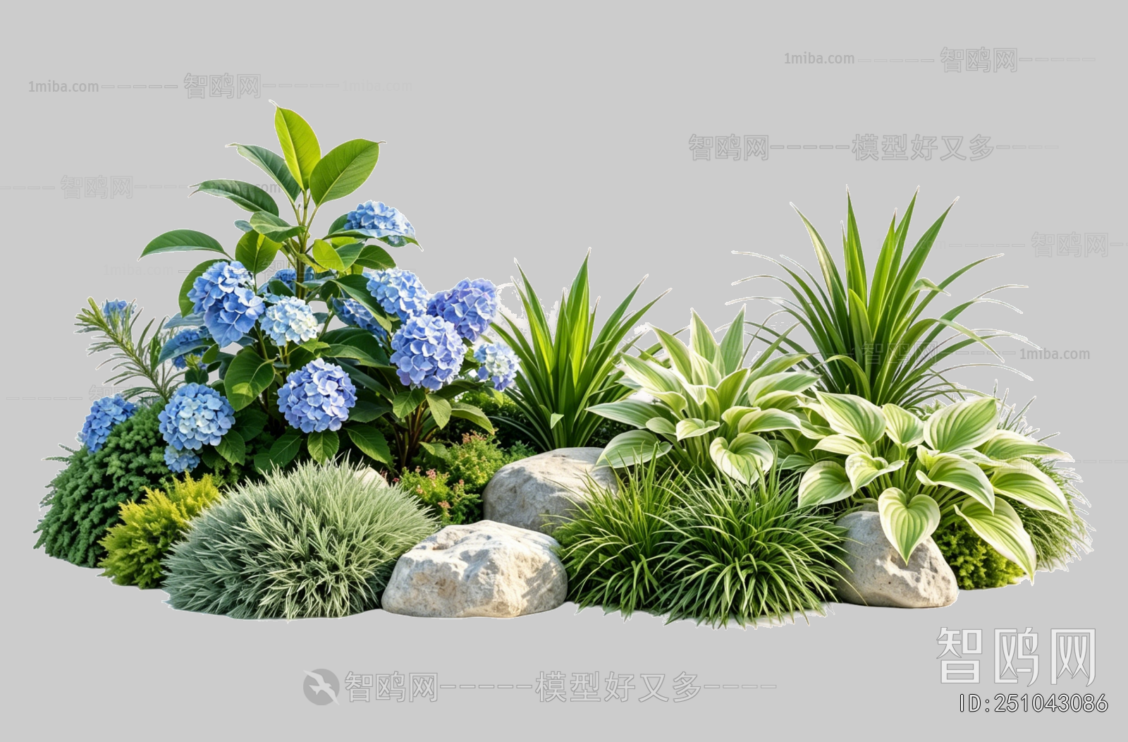 Plant Leaves