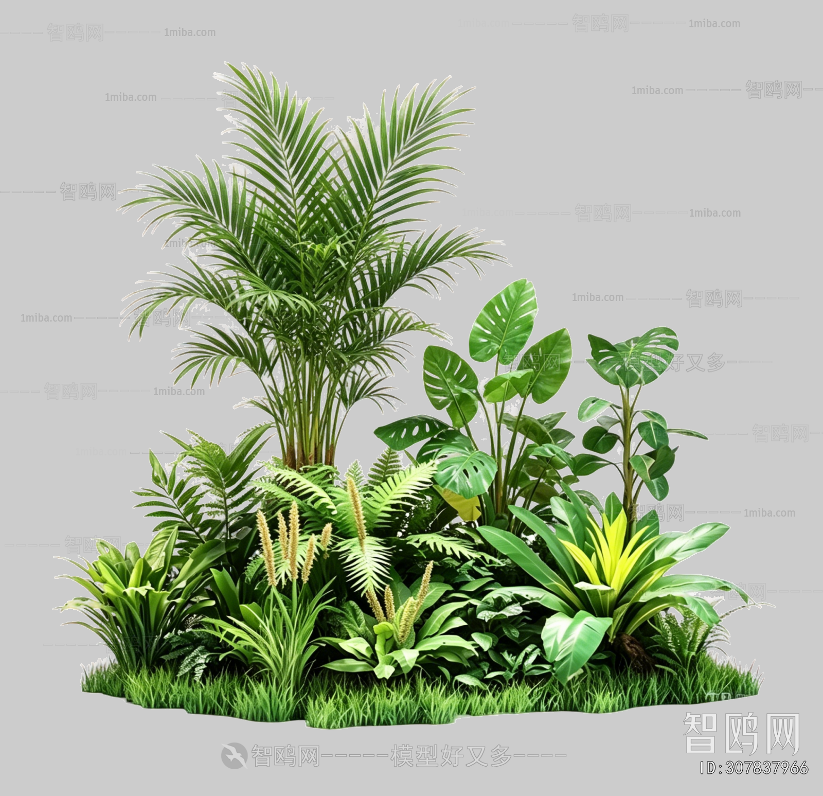 Plant Leaves