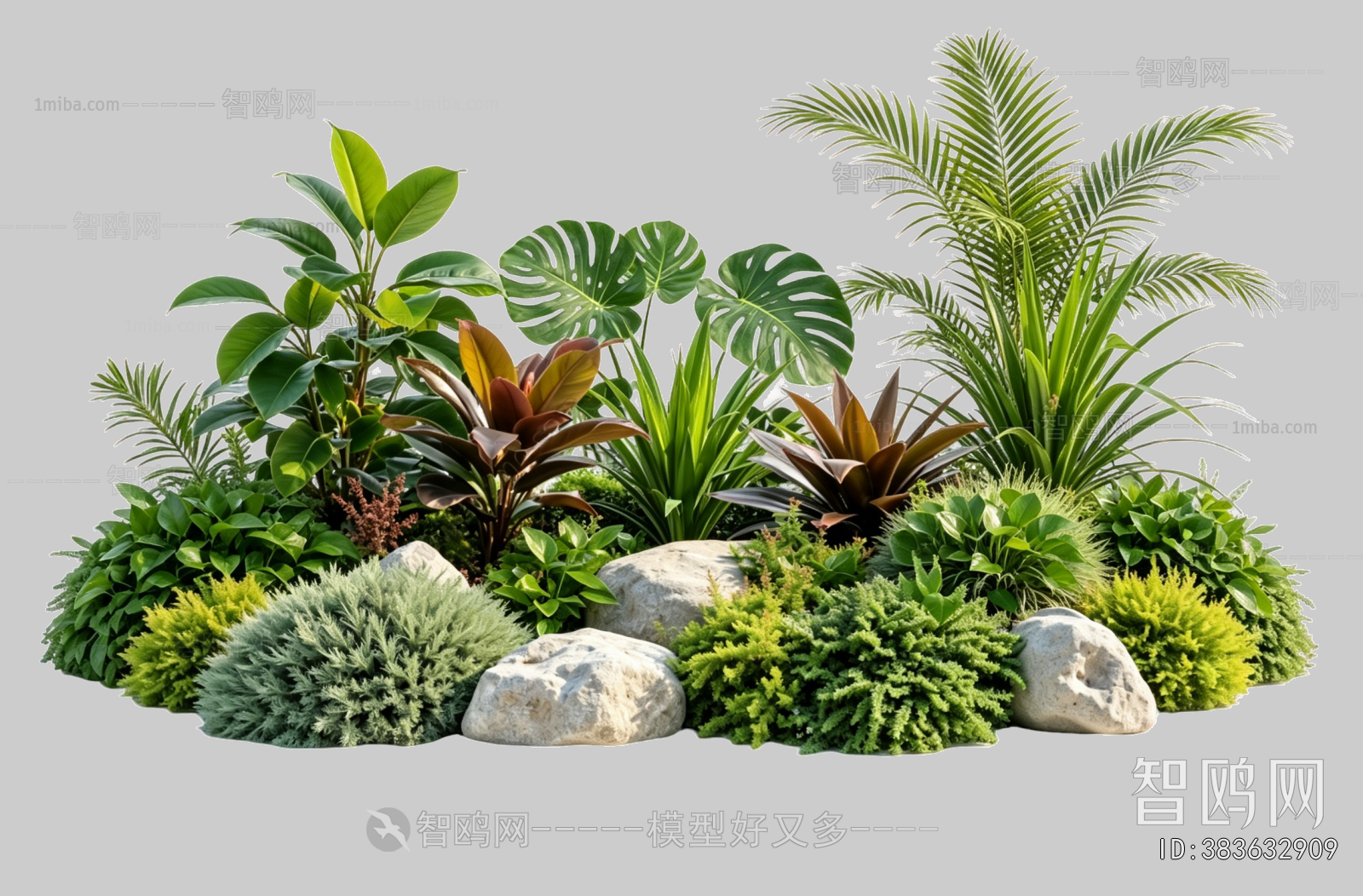 Plant Leaves