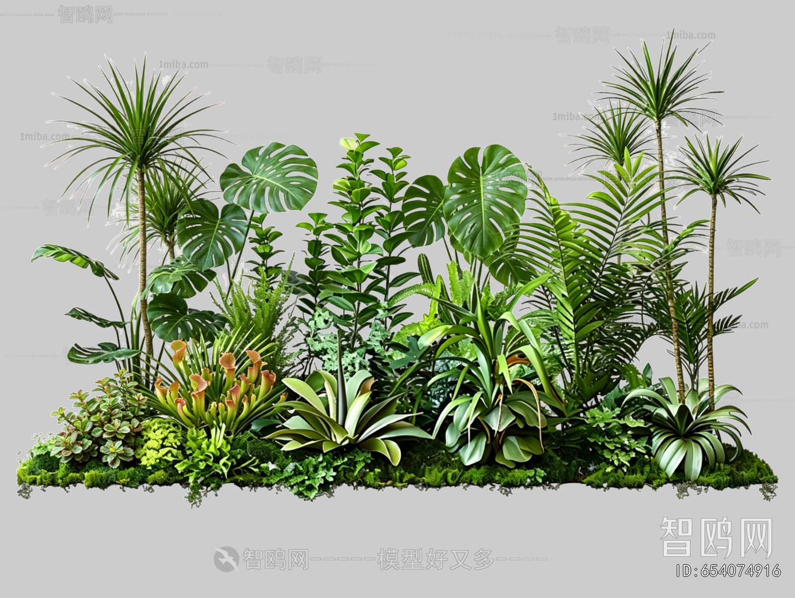 Plant Leaves