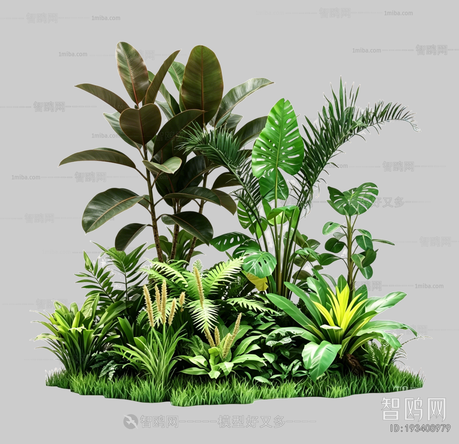 Plant Leaves