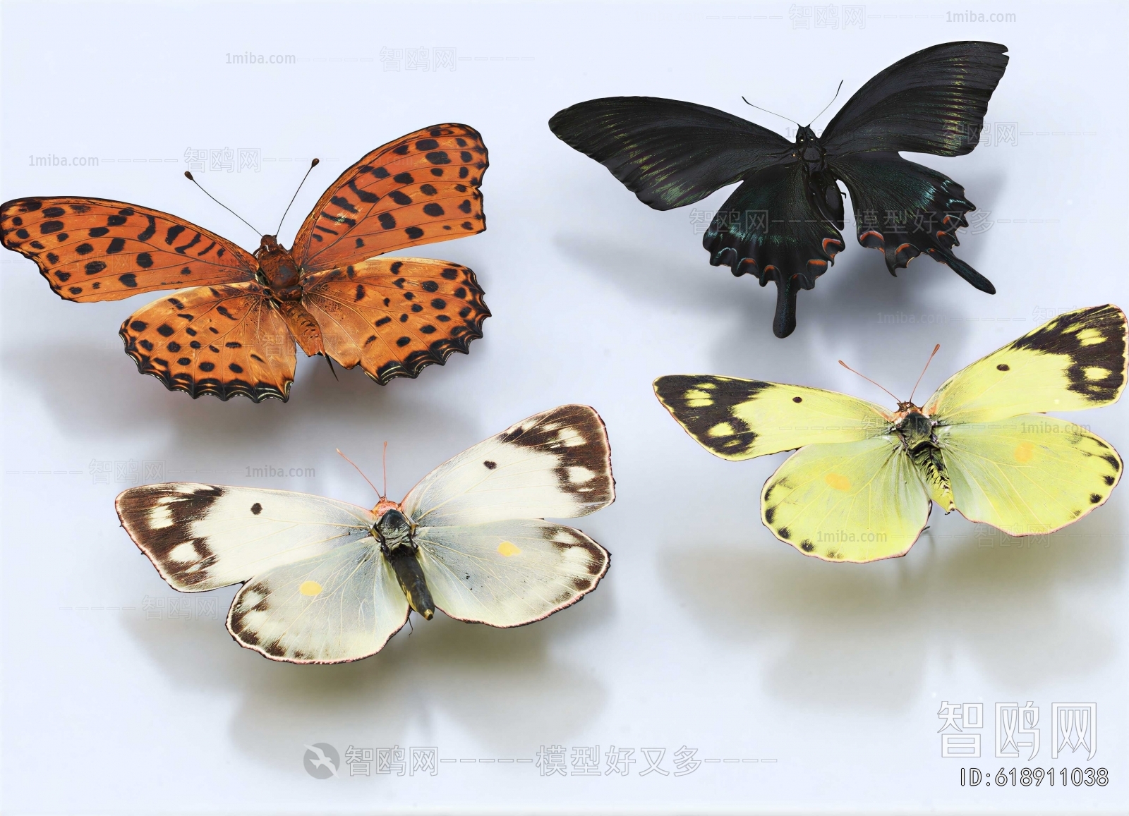 Modern Flying Animals