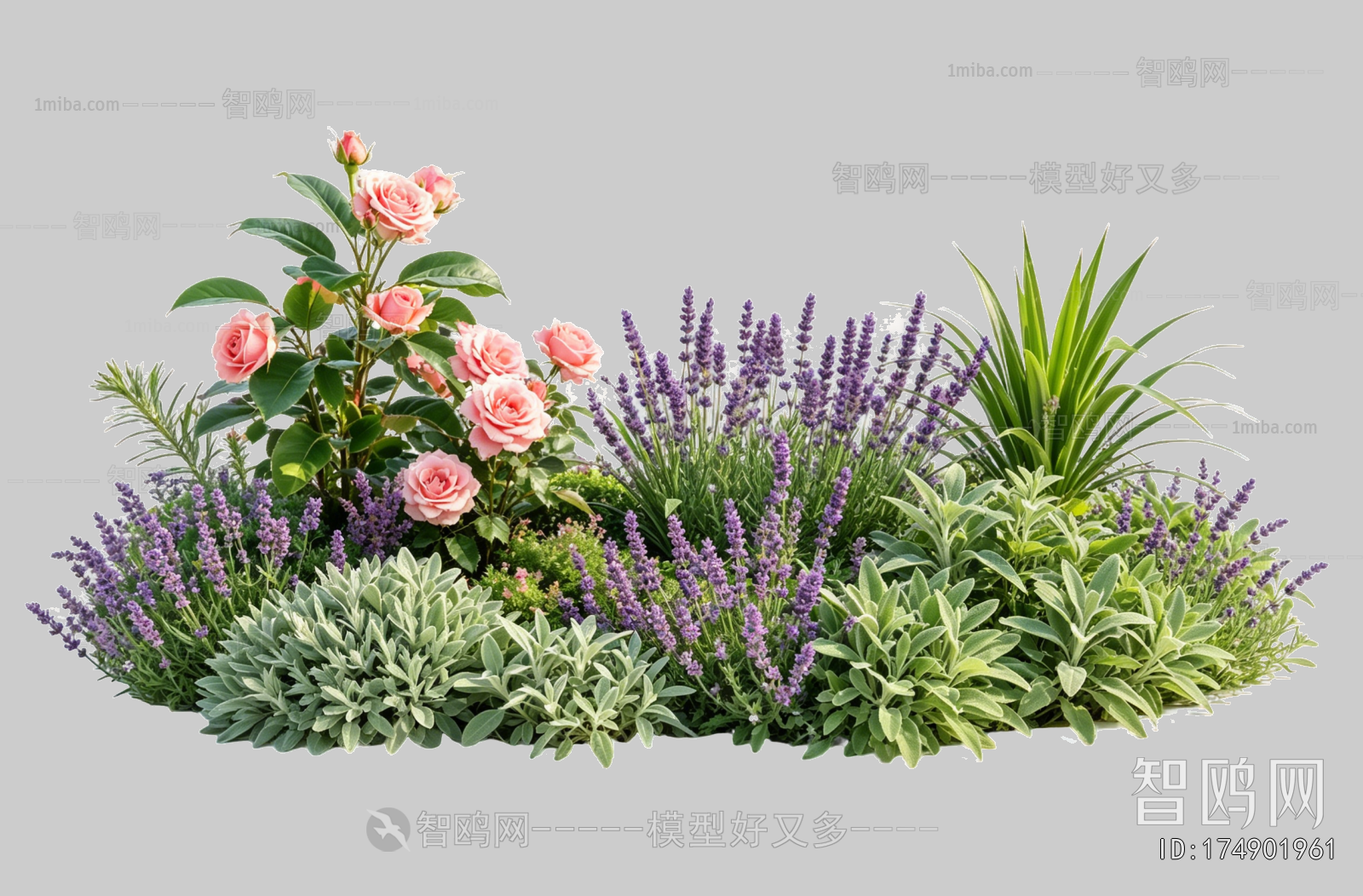 Plant Leaves