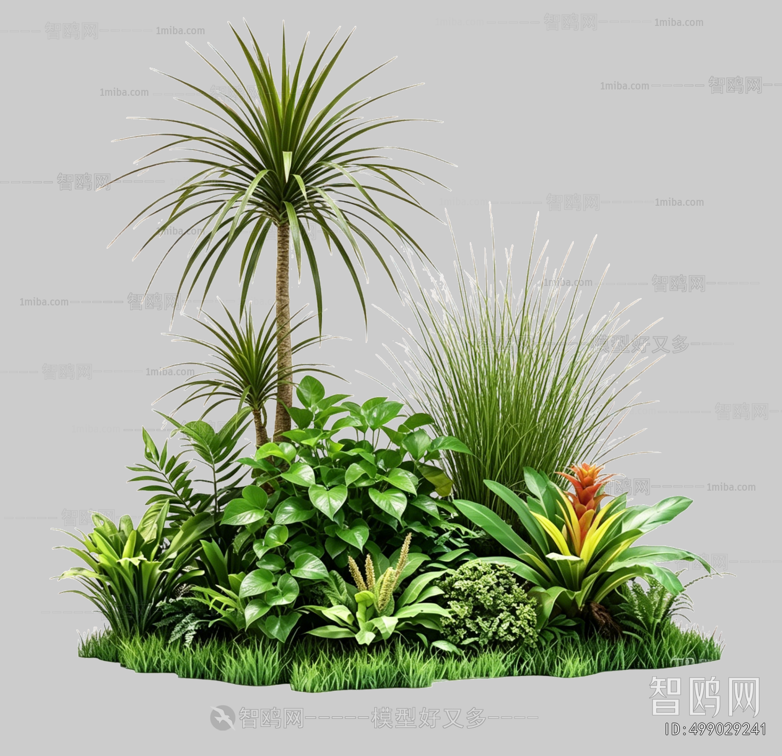 Plant Leaves