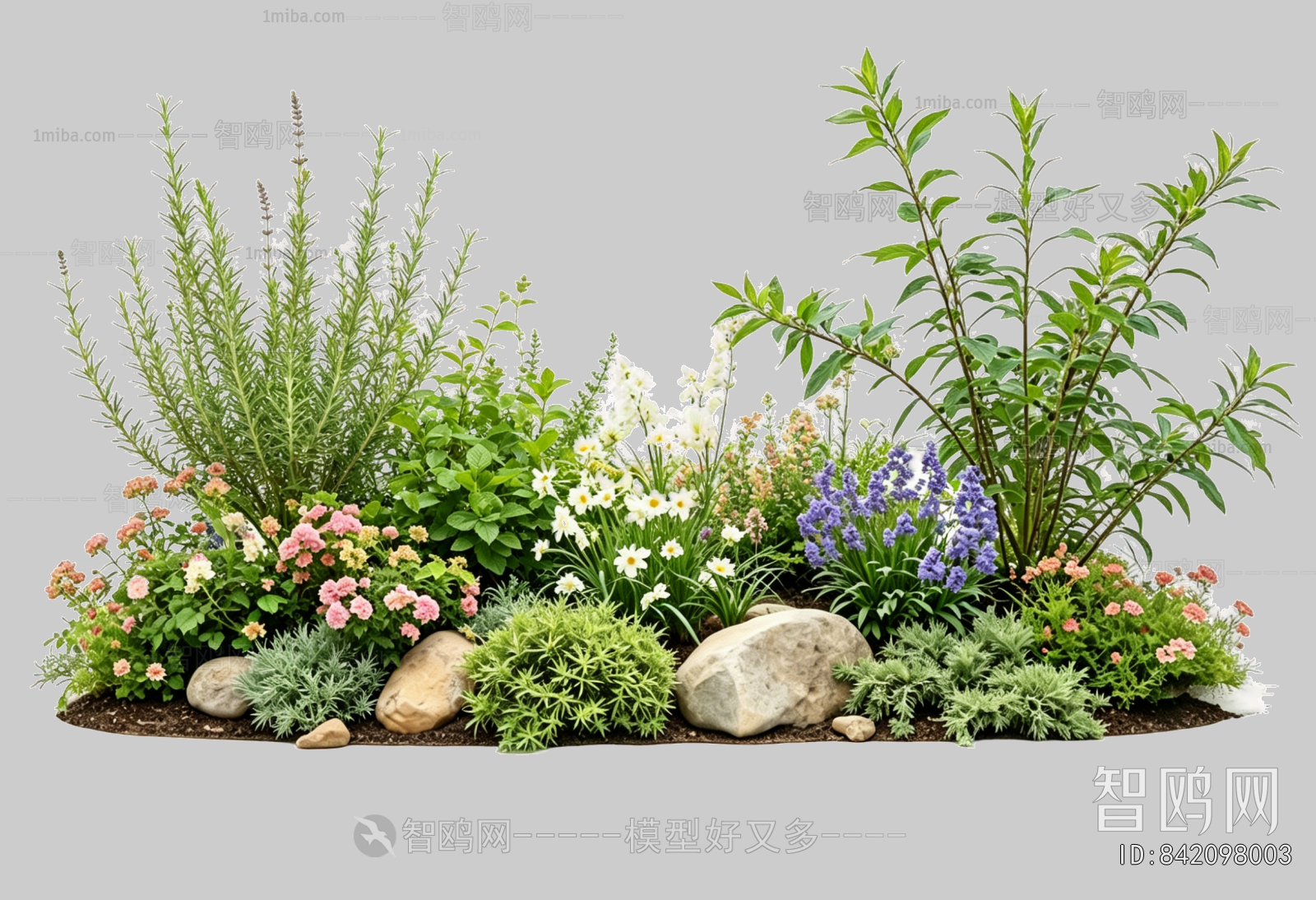 Plant Leaves