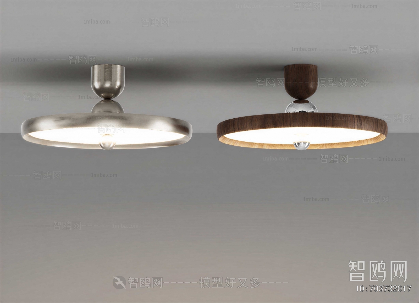 Modern Ceiling Ceiling Lamp