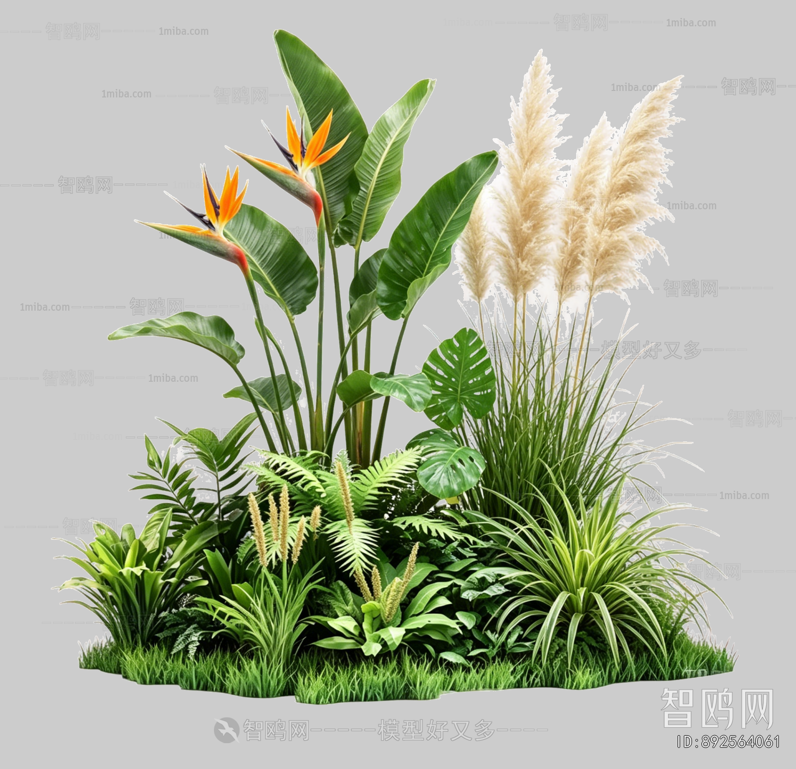 Plant Leaves
