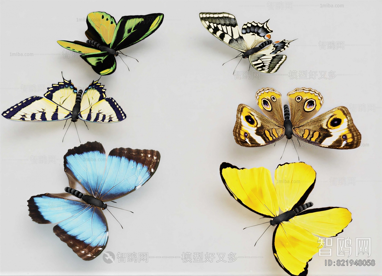 Modern Flying Animals