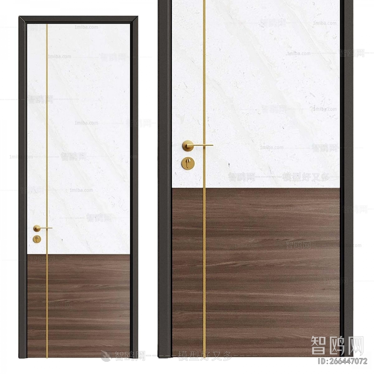 Modern Entrance Door
