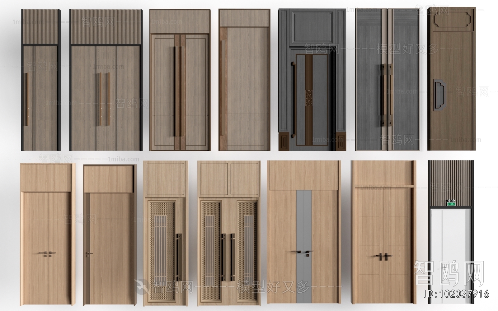 Modern Entrance Door