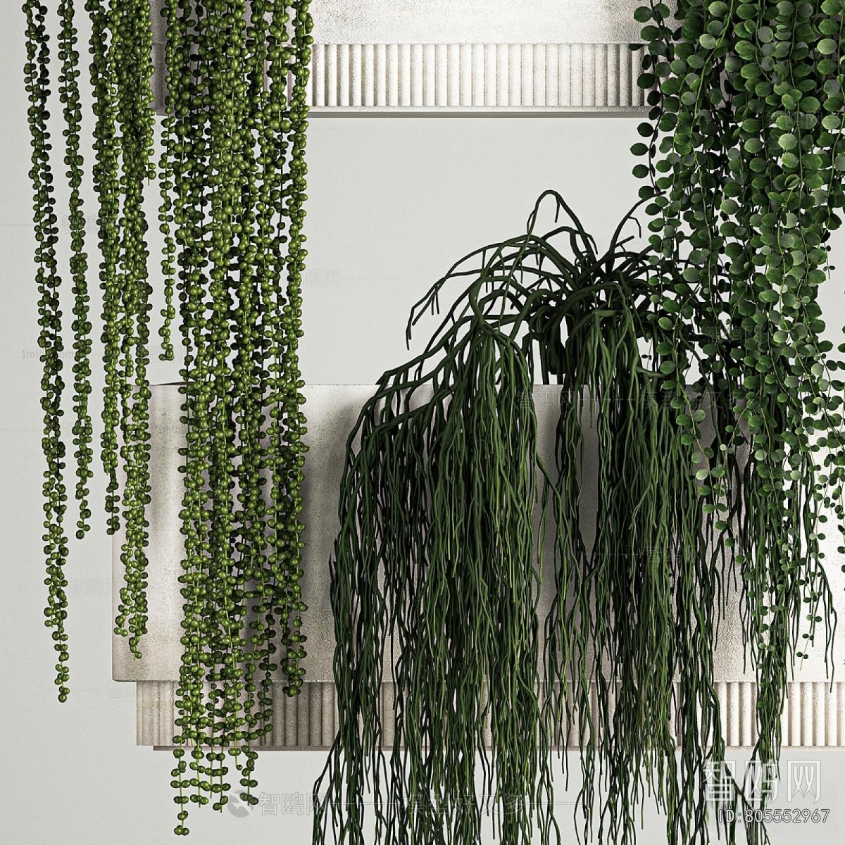 Modern Potted Green Plant