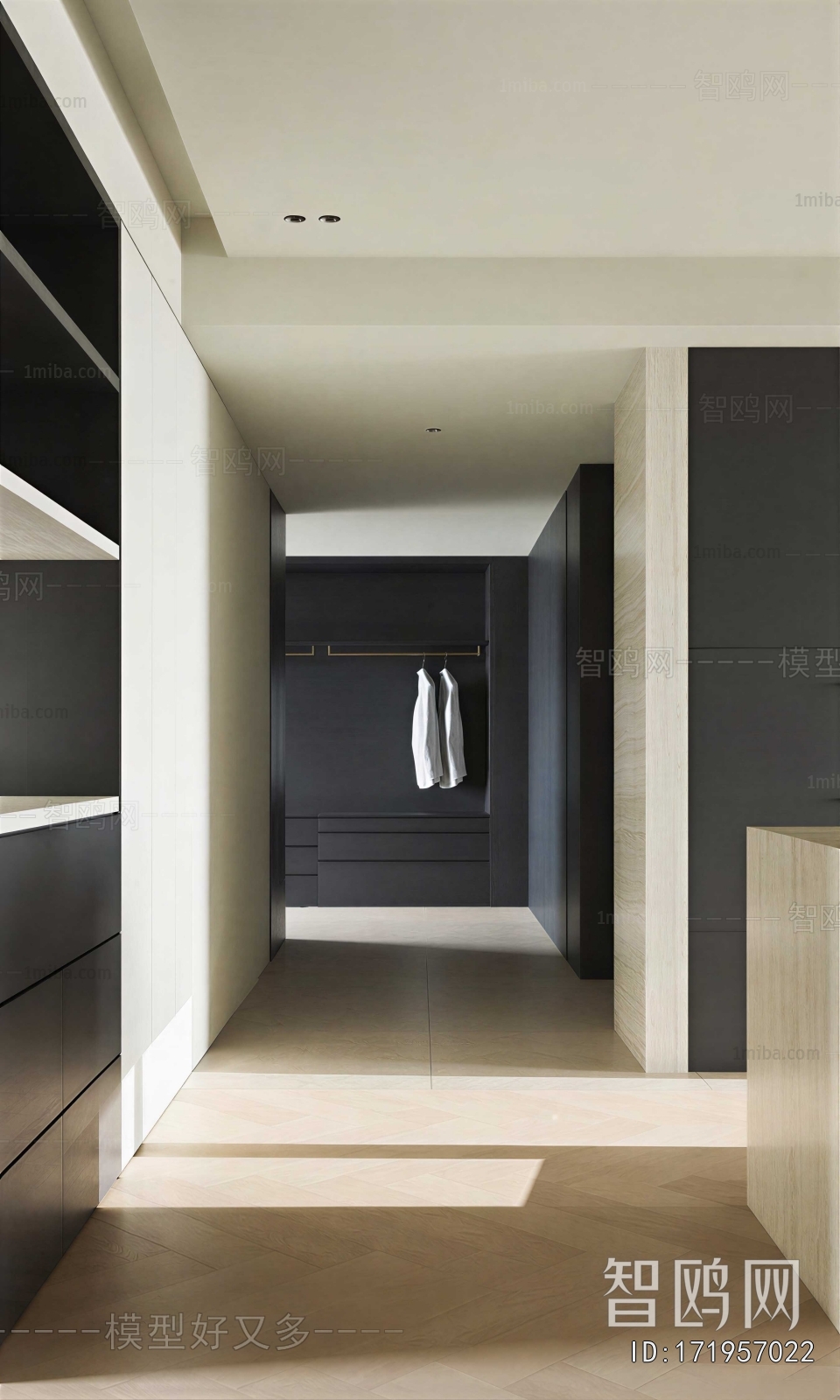 Modern Clothes Storage Area