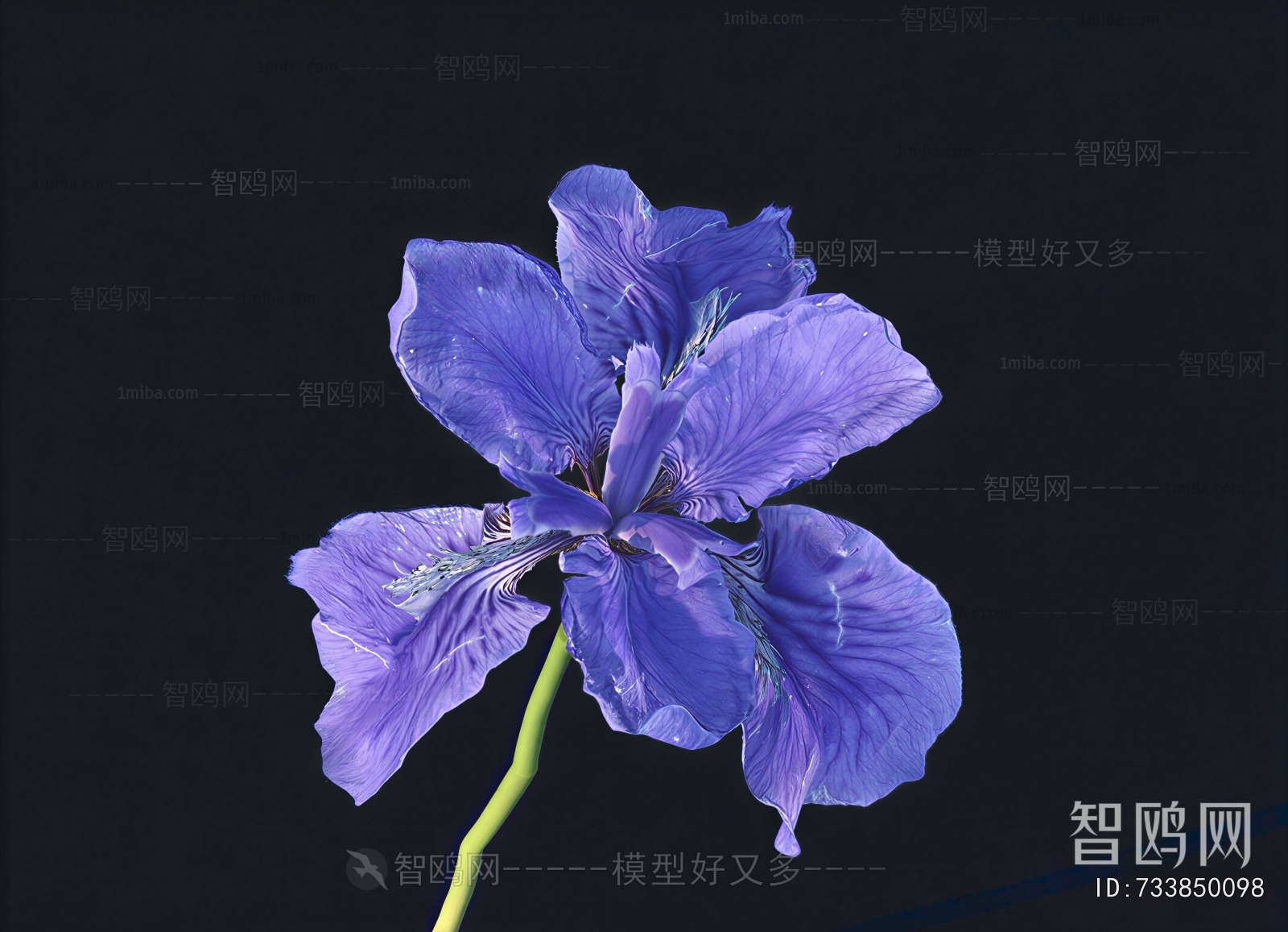 Modern Flowers