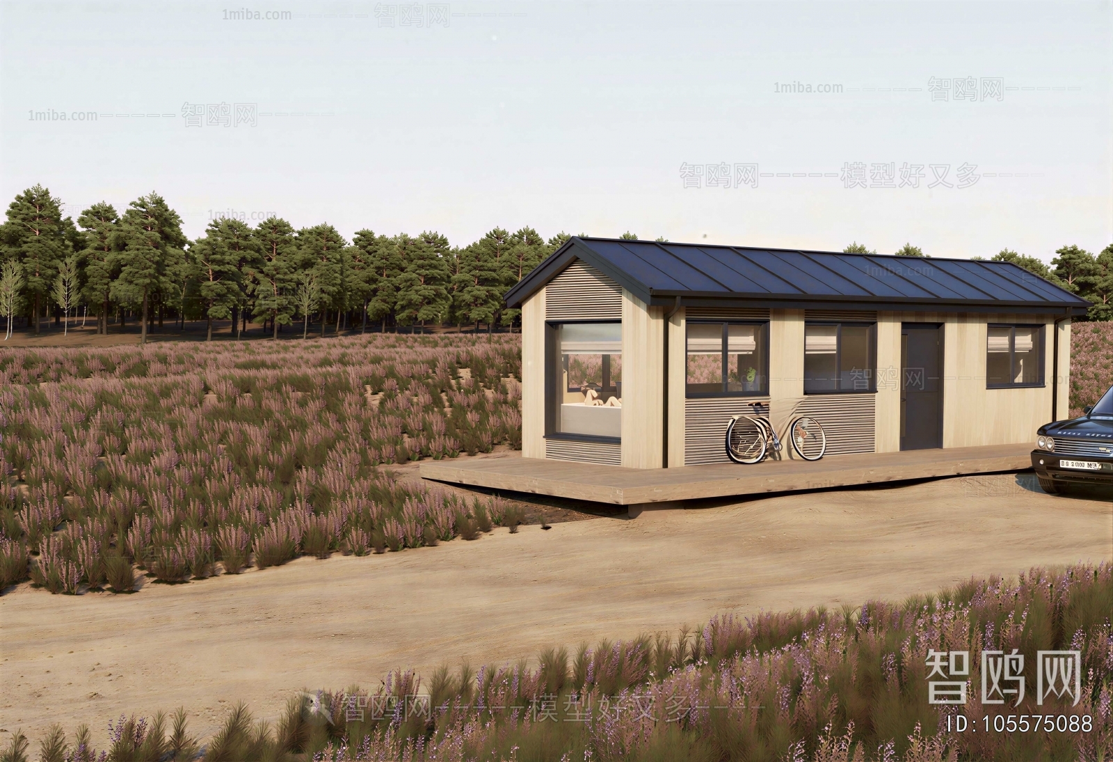 Modern Building Appearance