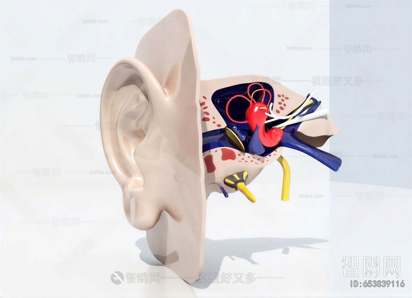Modern Medical Equipment