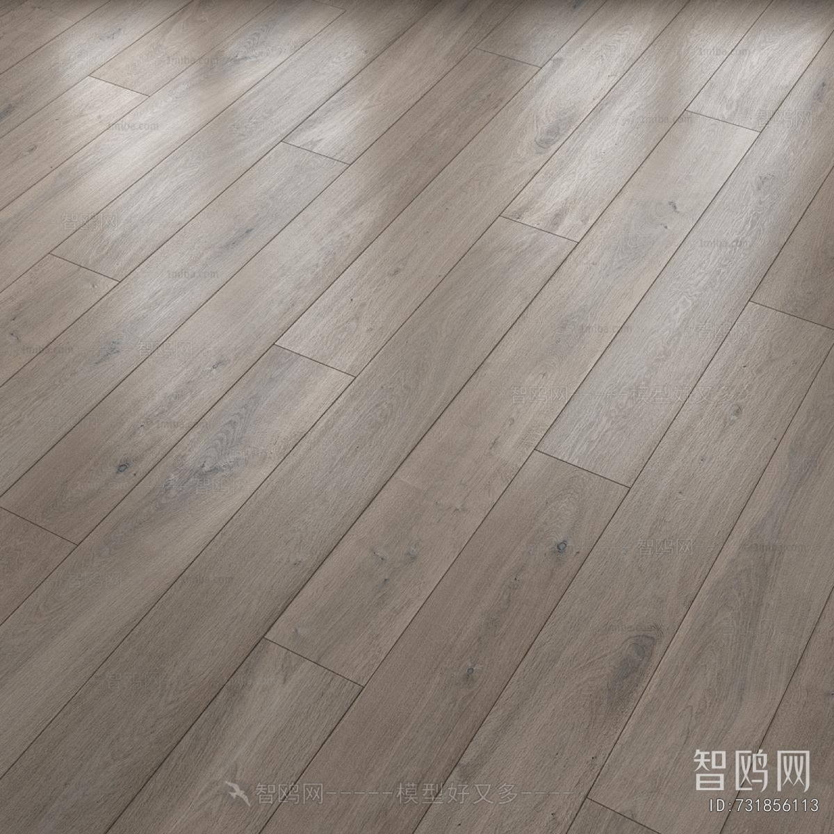 Modern Floor