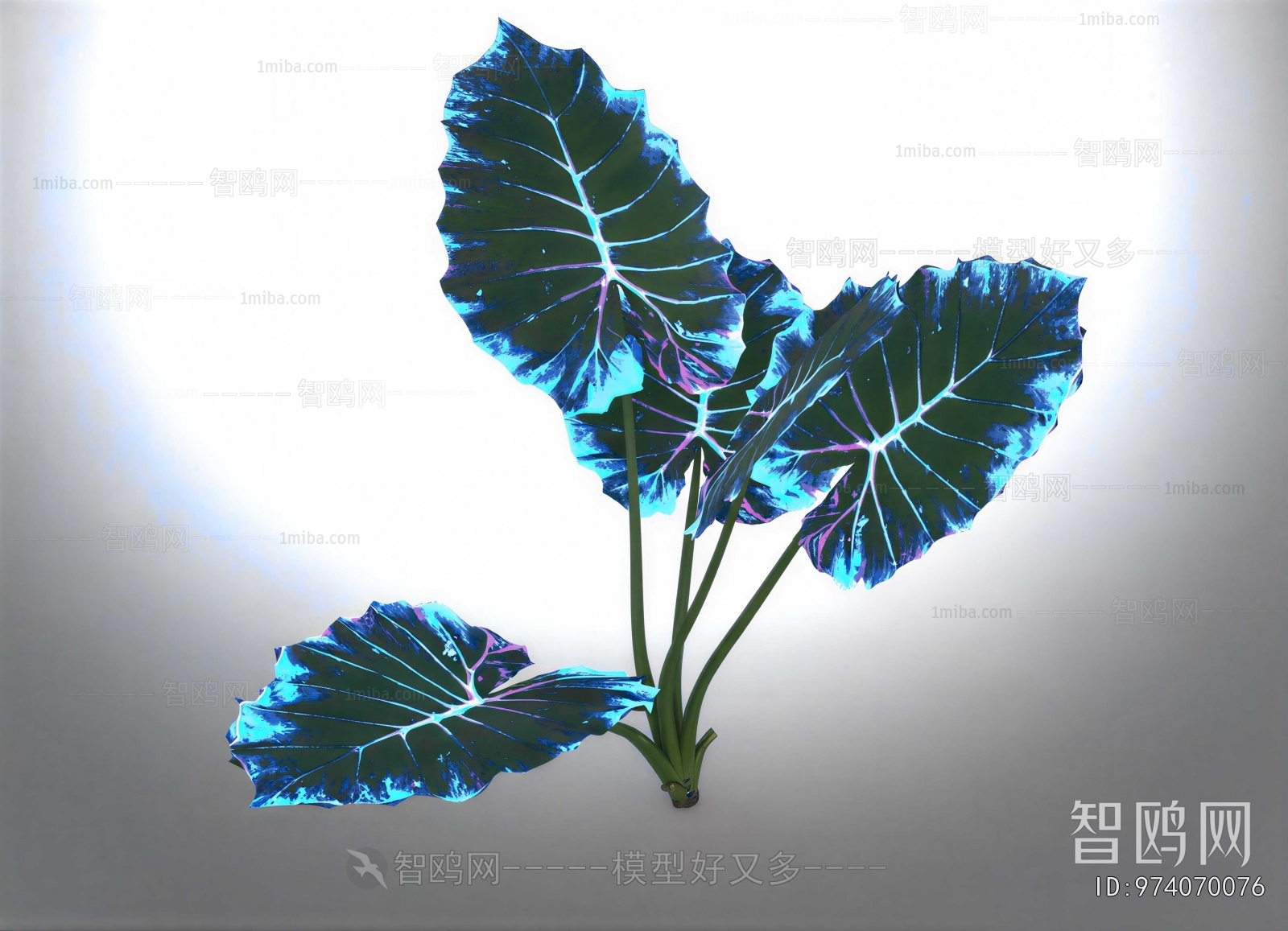 Modern Flowers And Grass