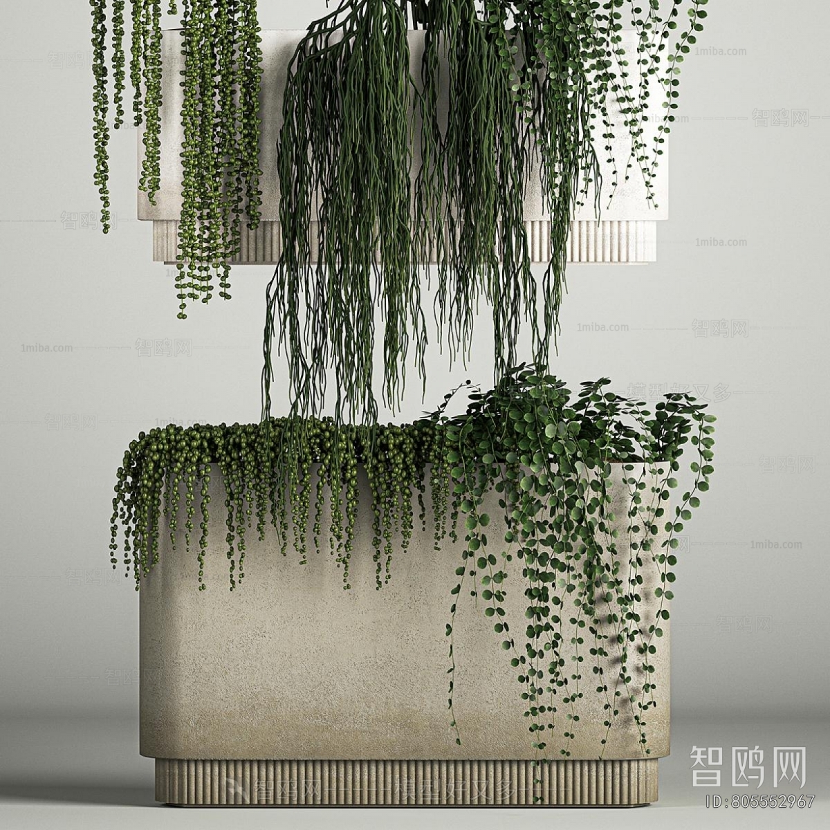 Modern Potted Green Plant