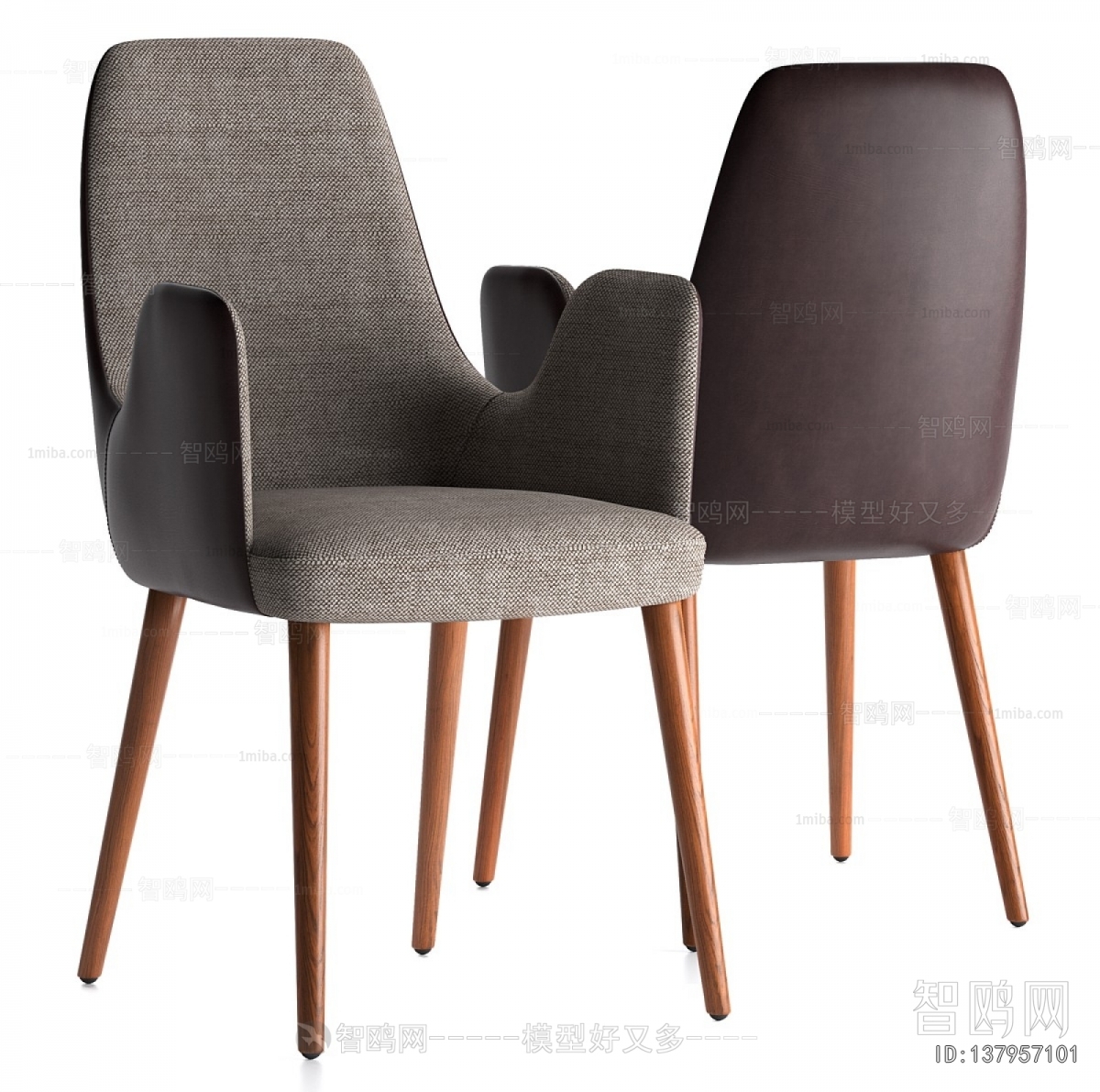 Modern Dining Chair