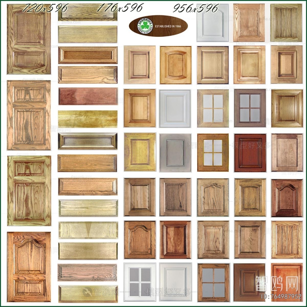 Modern Door