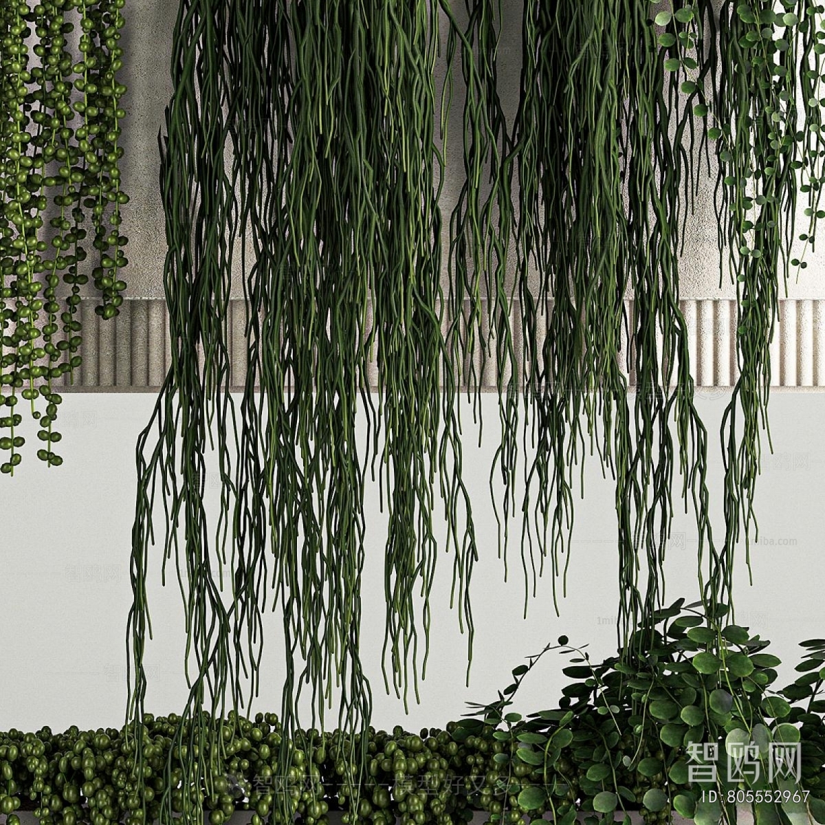 Modern Potted Green Plant