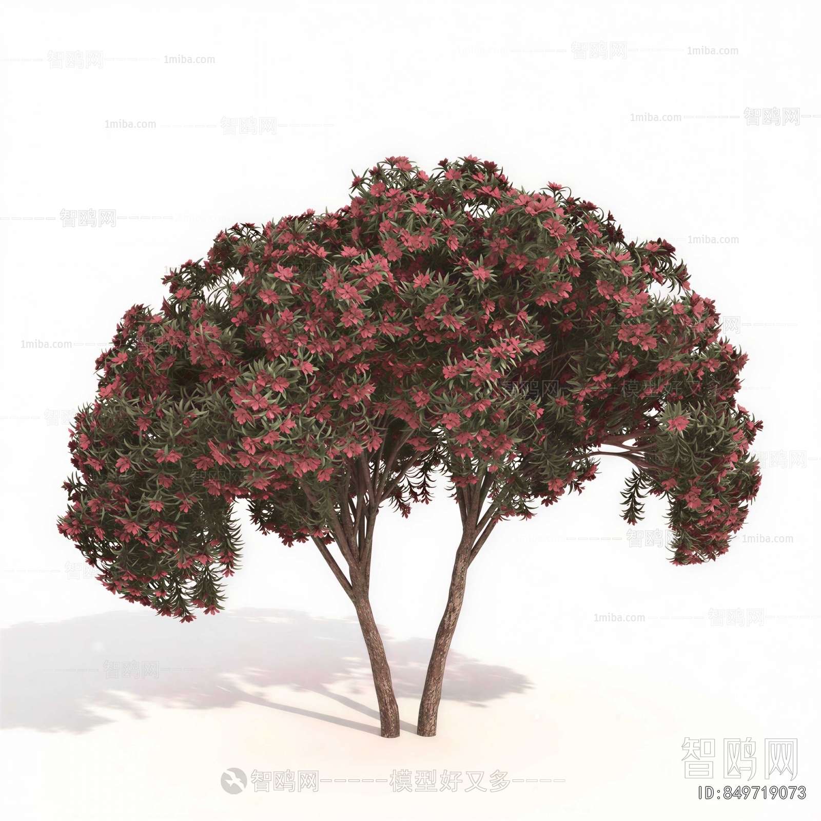 Modern Tree/shrub/grass